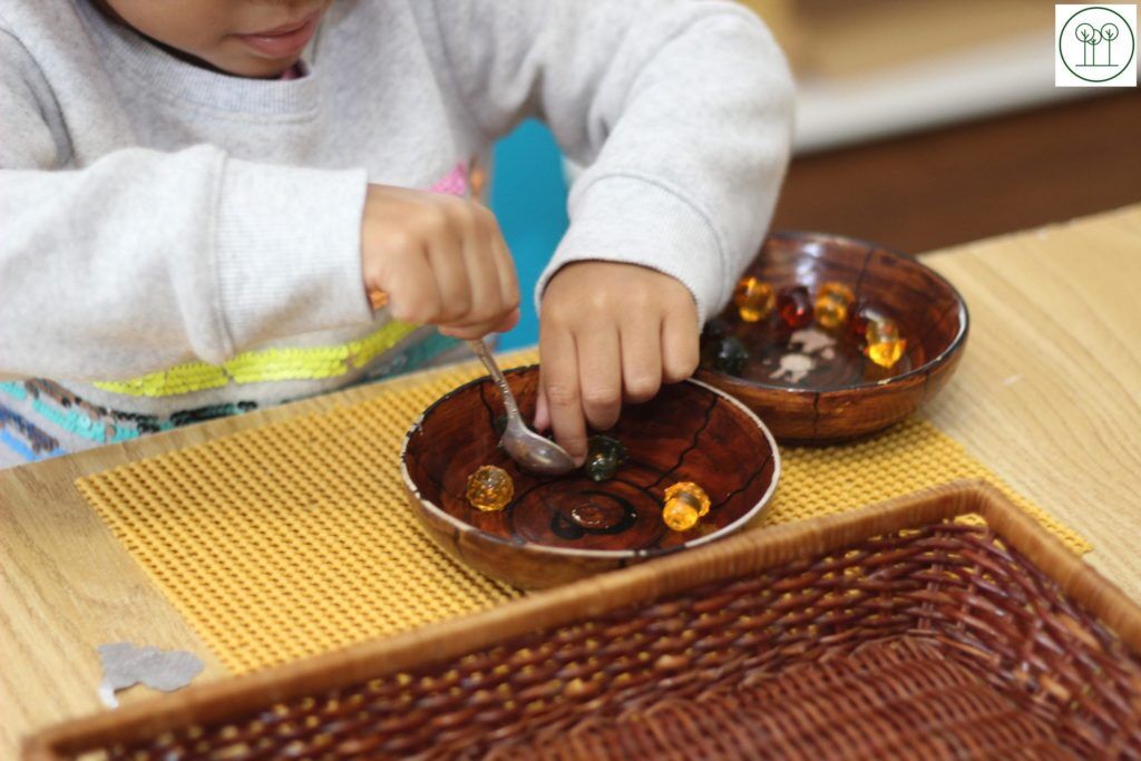 A Practical Life Transfer Activity