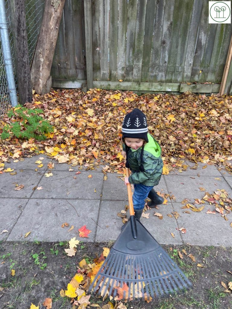 Cleaning up our yard1