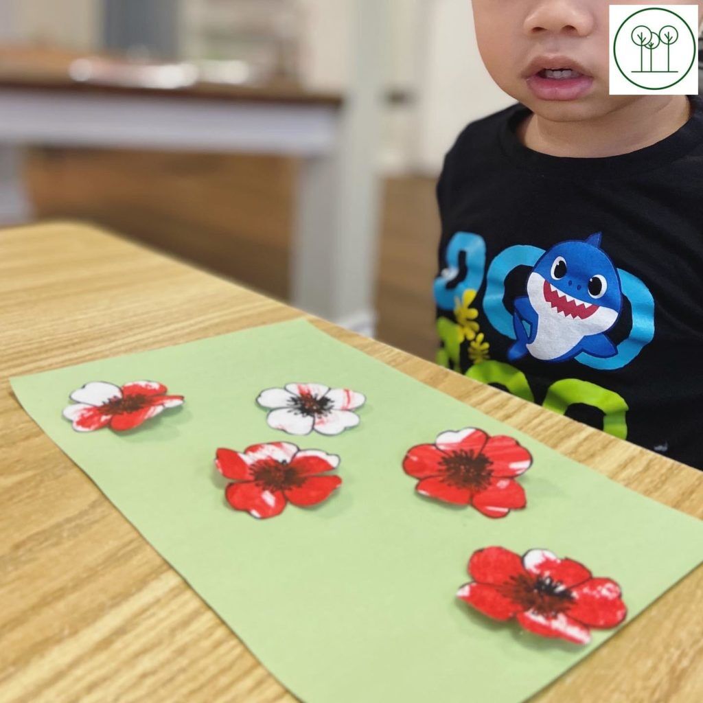 Our Remembrance Day Poppies