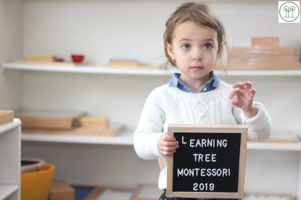 Picture Day at Learning Tree Montessori