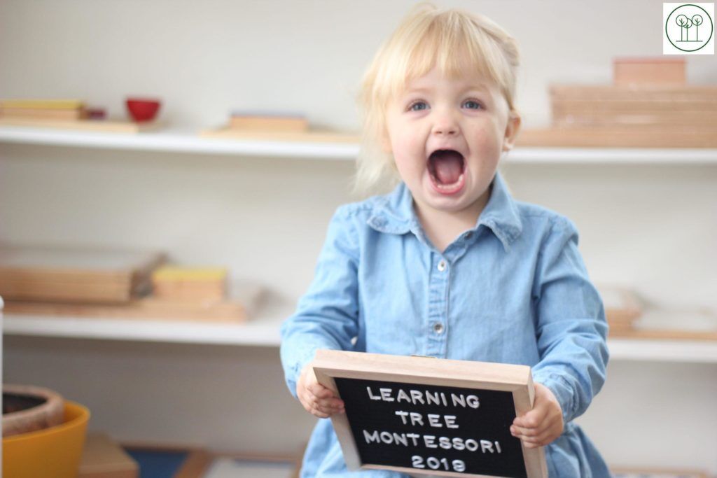 Picture Day at Learning Tree Montessori