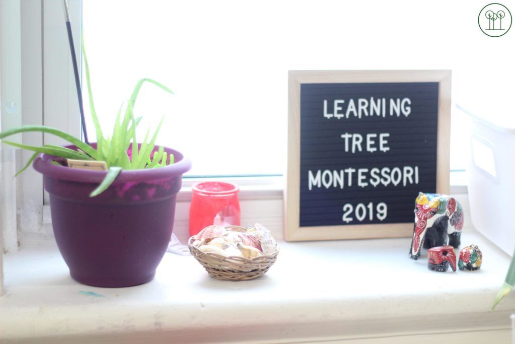 Picture Day at Learning Tree Montessori