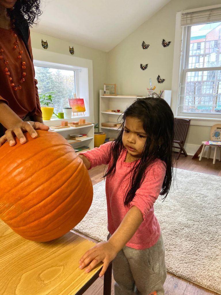 Pumpkin Carving for Halloween