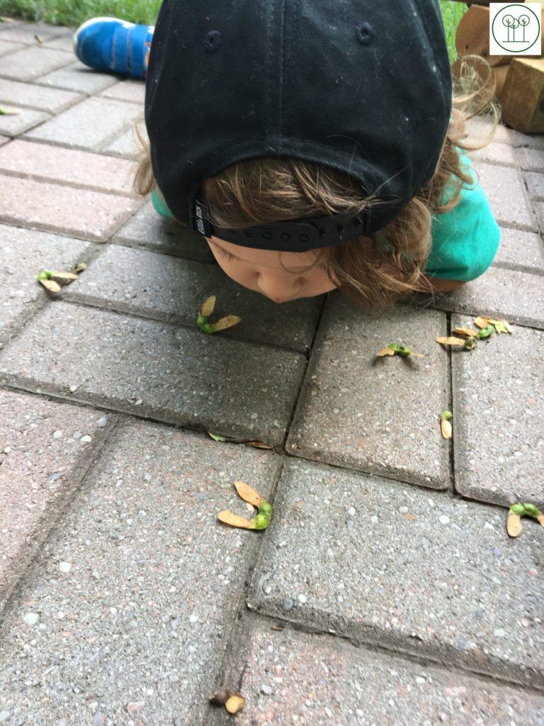 I saw a bug! Learning about our environment.